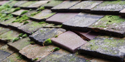 Boscastle roof repair costs